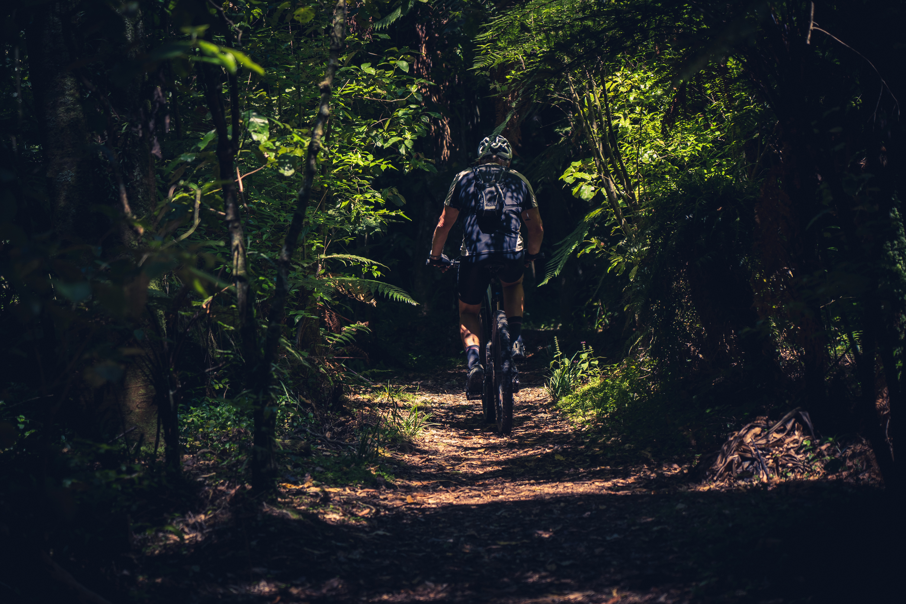 Man Riding On A Bike